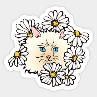 Kitten in the flower bed Sticker